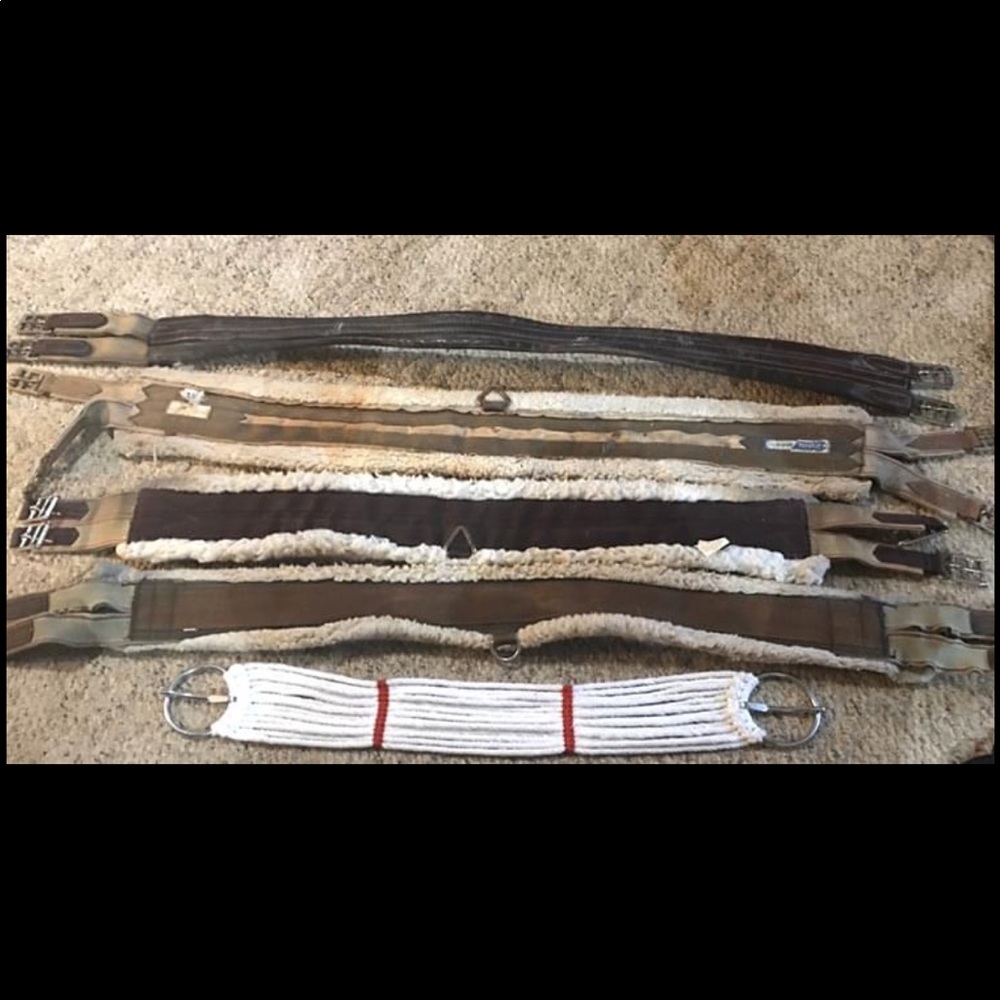 SOLD SOLD SOLD Various Girths